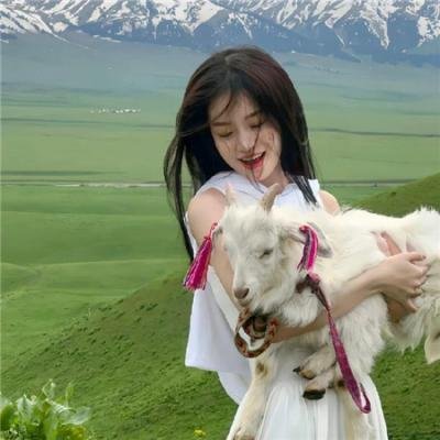 咱们结婚吧2013